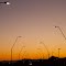 Streetlights and Bus at  Nautical Twilight