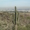 South Mountain Park, Phoenix Arizona