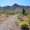 Rocky trail walking south