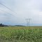 Corn Fields & Power Lines
