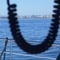 San Diego and communication