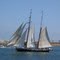 Sailing in San Diego Harbor