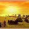 ***Yellow Sunset*** .................. CLICK to ENLARGE