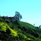 Nature-friendly Development