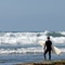 Surf -artist.loft.net