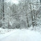 Millcreek Drive in the Winter