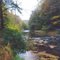 Mill Creek