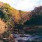 Mill Creek