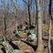 Catoctin Mountain Park