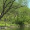 Calm waters