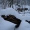 A Lot of Snow