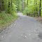 Tyler State Park in September