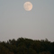 Full moon