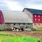 Dairy Farming