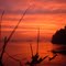 First light in duck season