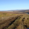 Four wheeler trail to Taylor