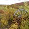 relics, Dahl Creek Alaska