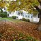 fall in Roseburg