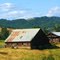 Beautiful Barns in Roseburg, Oregon, June 2010