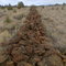 Rock wall facing North