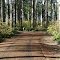 Carrollwoods RV Campground & Vineyard