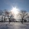 Icy snow and warm sunshine in Belle Isle Park (Detroit, MI)
