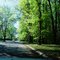 Forest in Balduck Park near Marquette Elementary School Detroit Michigan USA