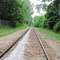 Track through the Black Oak Prairie Heritage Park, in Windsor.