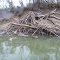 Log Jam