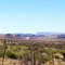 Big Bend (Texas)