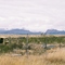 Glass Mountains