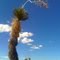 Yucca-Land, Texas Farm Road 111