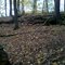 Raccoon Hill, Appalachian Trail, Salisbury, CT 10152011