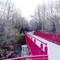 On the Monon Trail bridge over Williams Creek