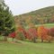 west-woods-2011d.jpg