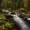 Moss Rock