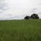 Scenic Hillside
