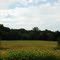 Agriculture, McKenzie, TN