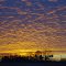 Sunrise on HWY 22 just east of HWY 79 1/22/13