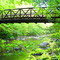Foot Bridge