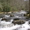 Little Pigeon River at Full Boil