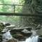 Bridge, Great Smoky National Park