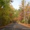 Autumn on Parrot Mountain