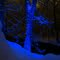 DSC06454 Gatlinburg at Night 12/26/2010