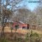 TENNESSEE BEAUTY   DHPHOTOSFL