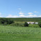 Lyman Orchards