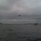 Jacksonville Air Show - Jet over the water