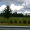 Blue skies, green fields, on edge of town