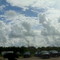 Behind Sea Center Texas