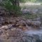 my little creek
